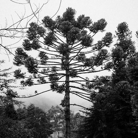 Cabana Mimosa Monte Verde  Eksteriør bilde