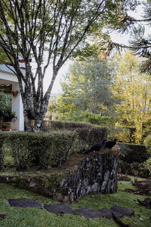 Cabana Mimosa Monte Verde  Eksteriør bilde